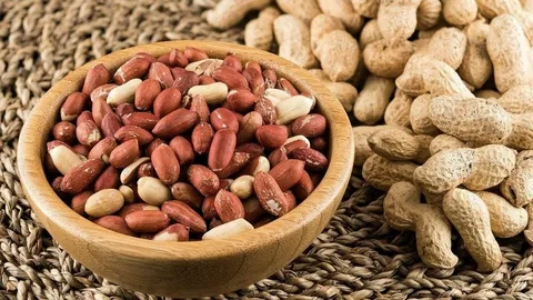 تصویر 2 از راهنمای خرید بادام زمینی هندی عمده + قیمت عالی